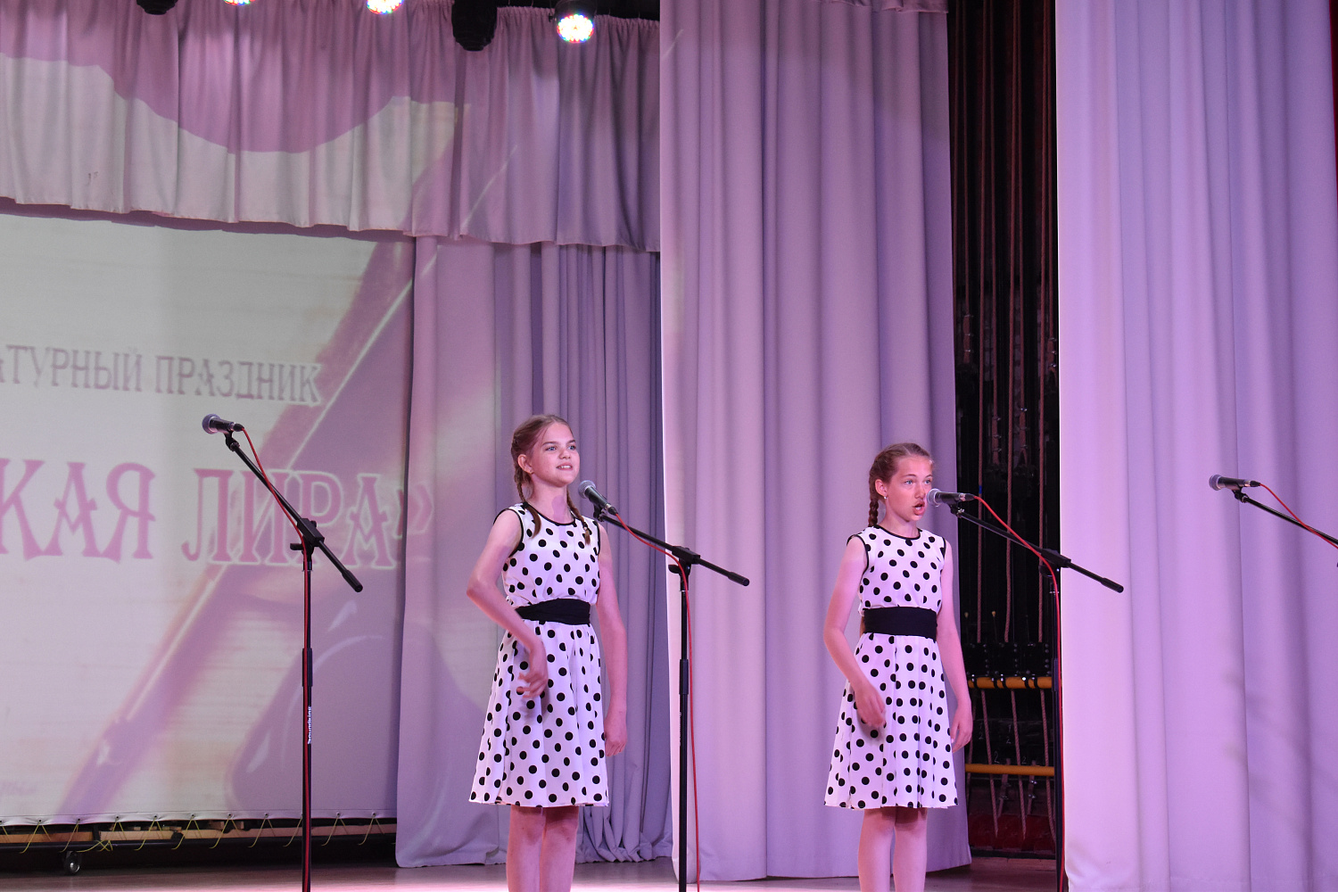 «Поэтическая лира» прозвучала в Пушкинский день в Мордовии