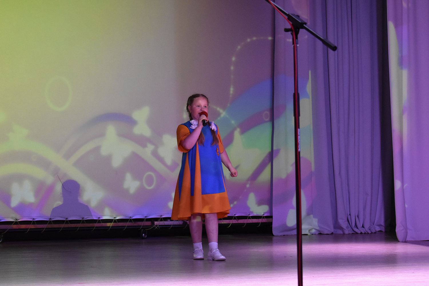 «Поэтическая лира» прозвучала в Пушкинский день в Мордовии